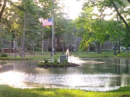 Pond with fountain